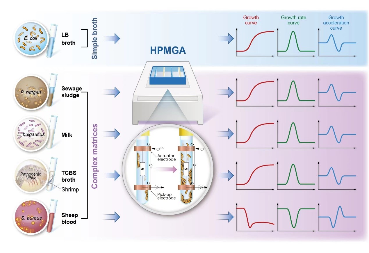 014271FC711E73CC0319CE3BDB9_68F8C403_26257.jpg 014271FC711E73CC0319CE3BDB9_68F8C403_26257.jpg