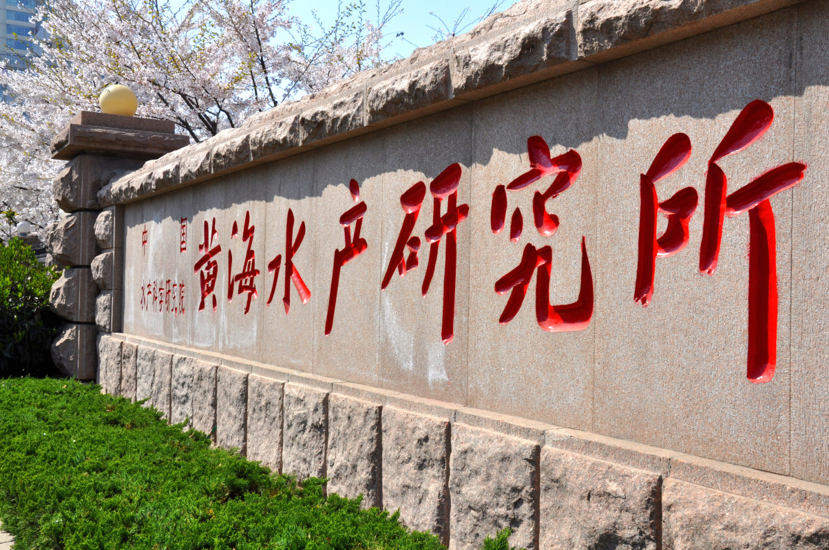 DSC_3625.jpg DSC_3625.jpg